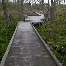 カリンバ自然公園