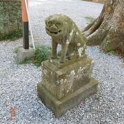 狛犬さまがカワイイ！！御朱印も素敵です。