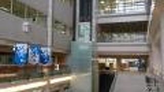 でっかい図書館