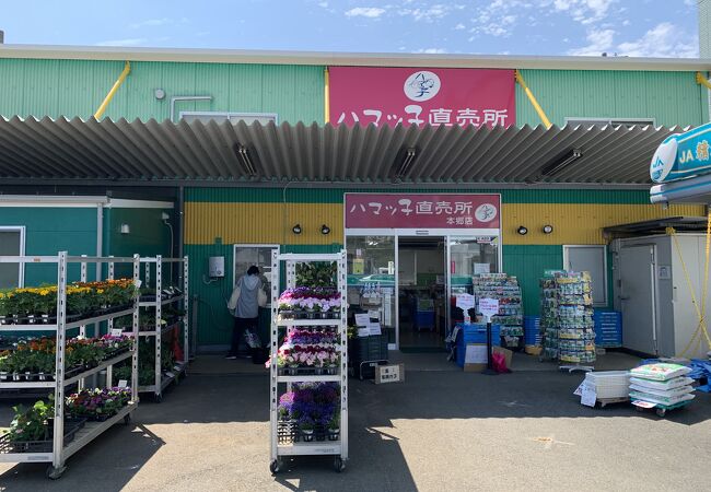 ハマッ子直売所 (JA横浜瀬谷店)