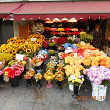 タリンの人は花好きなのかな