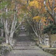 紅葉で有名なお寺です