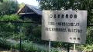 森がうっそうとしている