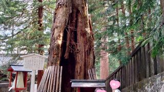 拝観料高いだけあった