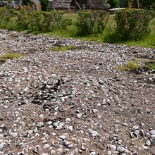 古代人の生活ゴミ捨て場