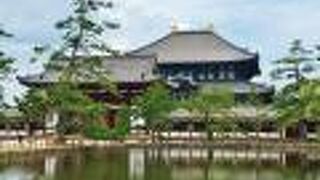 大仏殿を眺める