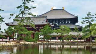 歴史を感じる壮大なお寺　