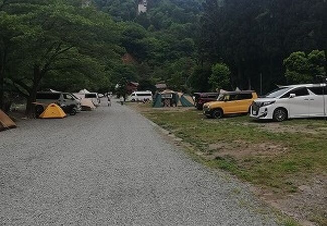緑の休暇村 青根キャンプ場 クチコミ アクセス 営業時間 丹沢 大山 フォートラベル