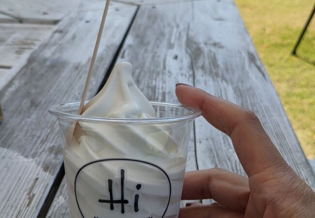 ドーナツをお土産に買って帰りました