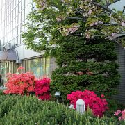 nhk札幌放送局 クチコミ アクセス 営業時間 札幌 フォートラベル nhk札幌放送局 クチコミ アクセス 営業時間 札幌 フォートラベル