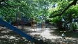 城山公園=小山城（祇園城）です