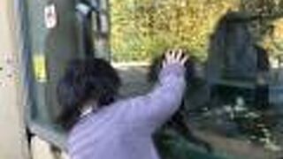 20年振りの動物園