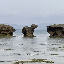 振り返り牛の岩