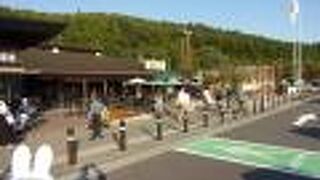 「峠の釜めし」で有名なおぎのやさんが運営するサービスエリアなので、特徴が色々と(^_-)-☆