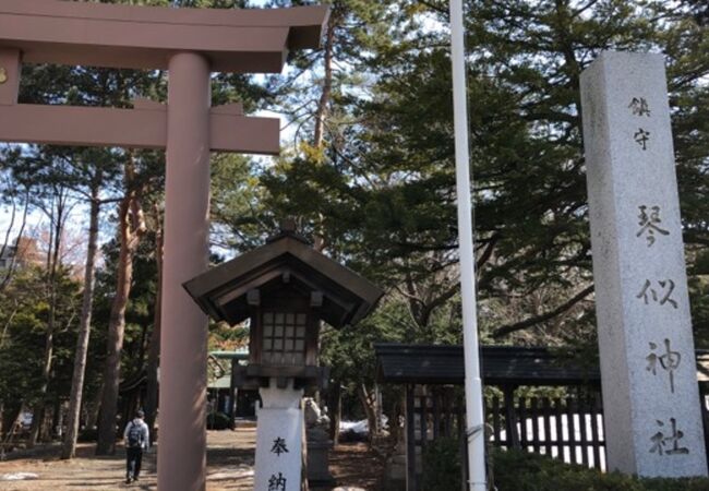 琴似神社 クチコミ アクセス 営業時間 琴似 発寒中央 フォートラベル