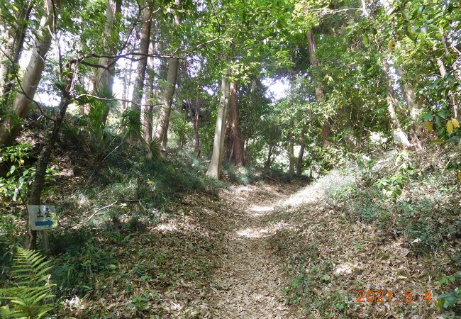 本丸には鷲神社。遺構あります。