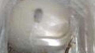 銀座店限定販売『Wチーズケーキデニッシュ』