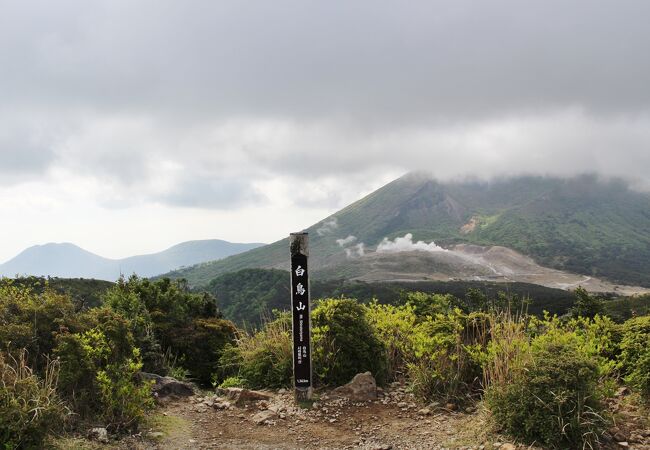 池巡りコースの最高地点　少し登りあり