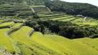 とてもキレイな棚田が並ぶ