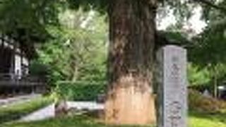 浄真寺の境内にあります