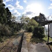 ひっそりと佇む廃線の駅跡と竹林