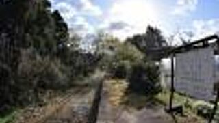 ひっそりと佇む廃線の駅跡と竹林