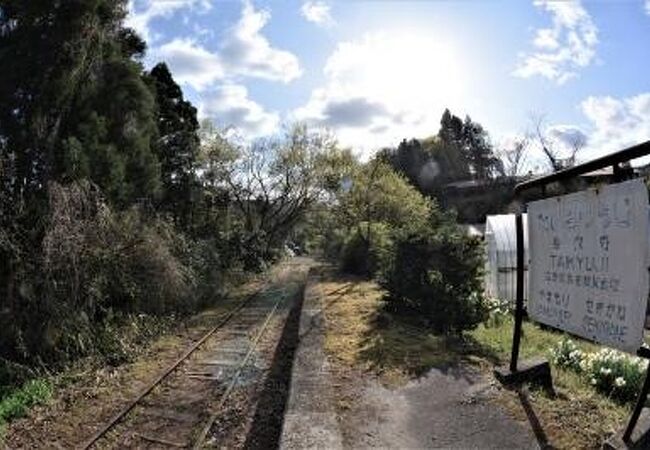 ひっそりと佇む廃線の駅跡と竹林