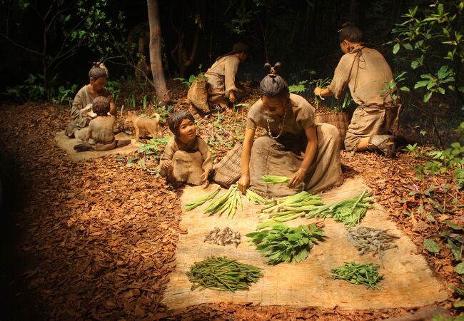 2度目の訪問です。縄文時代の展示が素晴らしい