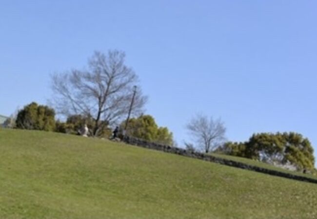 長浜公園