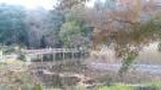 四季折々の風景を楽しめます