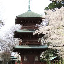 満開の桜と三重塔