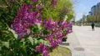 今年はオンライン開催です。