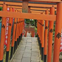 上野公園　稲荷坂