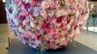 とても楽しい春の一日