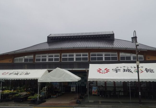 宇土 三角のお土産屋 直売所 特産品 クチコミ人気ランキングtop4 フォートラベル 熊本県