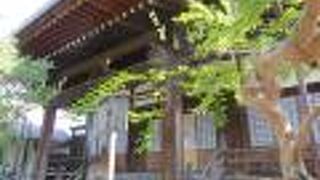 えらい立派な寺号どすな