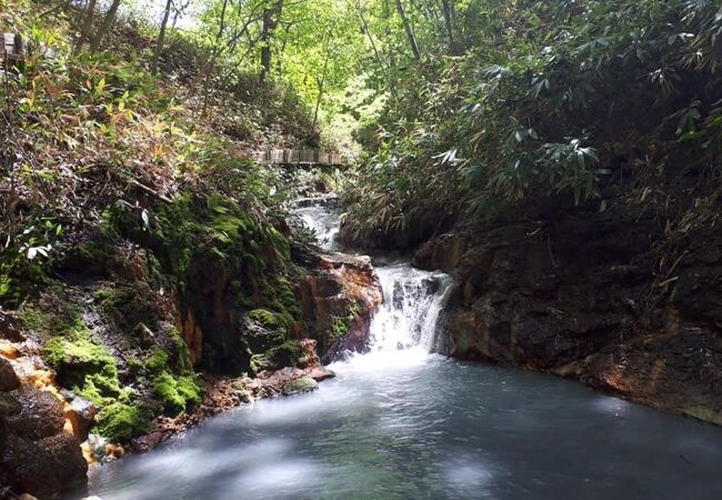 大湯沼川天然足湯 クチコミ アクセス 営業時間 登別 フォートラベル