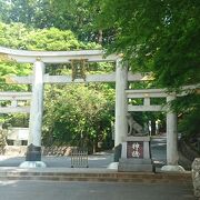 3年ぶりの新緑の三峯神社