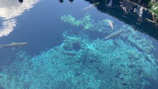 変わらぬ綺麗さ