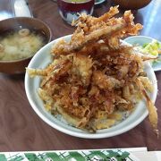 ワカサギ丼