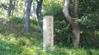 JR百舌鳥駅から行くと最初に出迎えてくれる古墳です