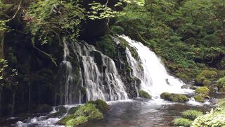 最高にいい伏流水の姿、平成の名水百選