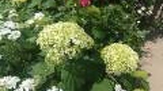 横浜イングリッシュガーデン