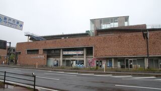 クジラやフグもあるときも