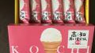 高知旅の締めくくりにお土産購入