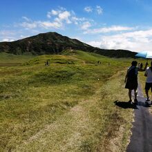 のどかな雰囲気