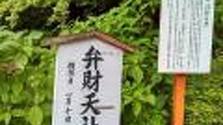 芦ノ湖の湖底木