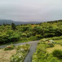 四季倶楽部 箱根スタイルの部屋からのふうけい