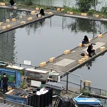 市ヶ谷橋の上から