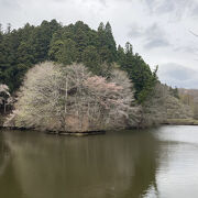 景色がいい